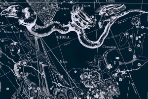 环保先锋!纽约2026世界杯,打造绿色可持续的足球典范!